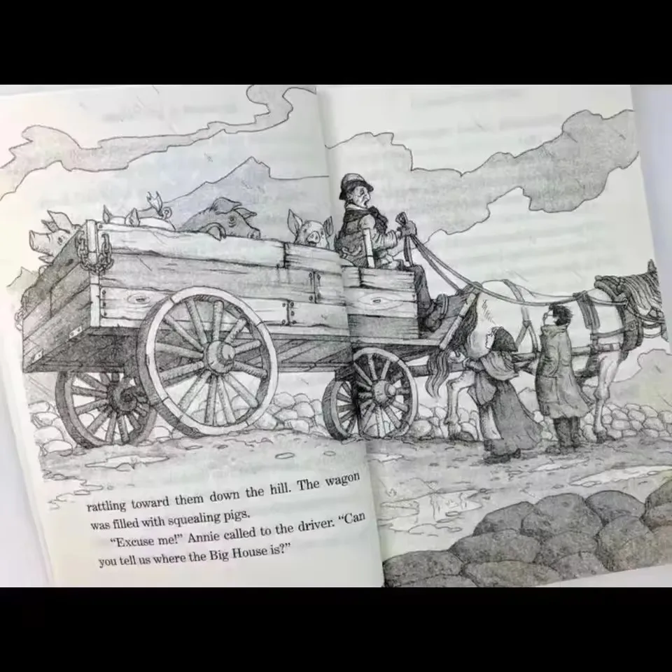 Random 1 book English Version Magic Tree House 1-38 Volumes English Reading Story Book Children's Adventure Science Book