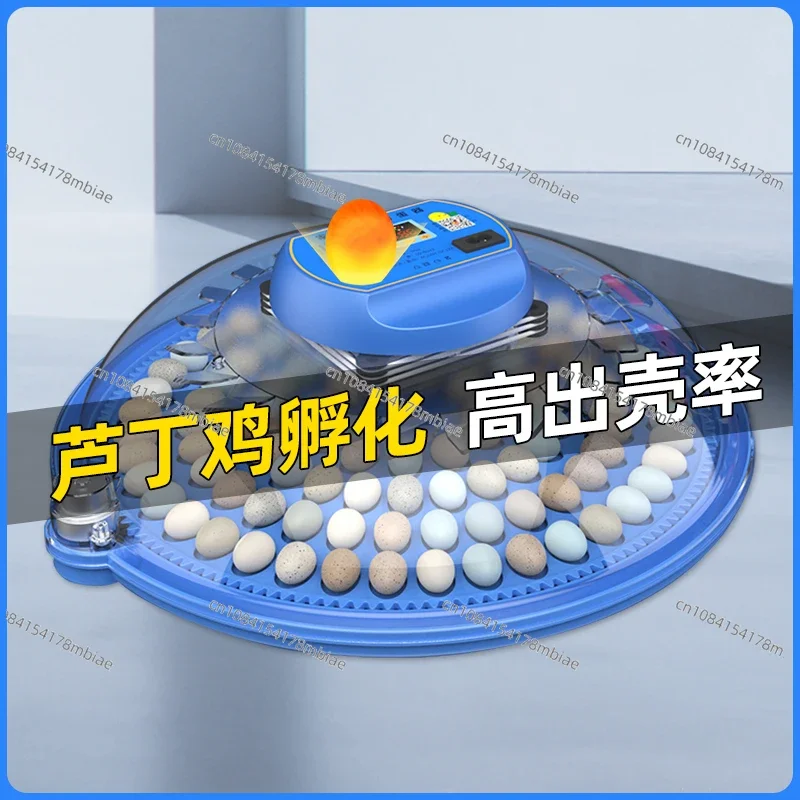 Incubator Small Home Smart Automatic Chicken Hatching Machine Parrot Egg Mini Flying Saucer