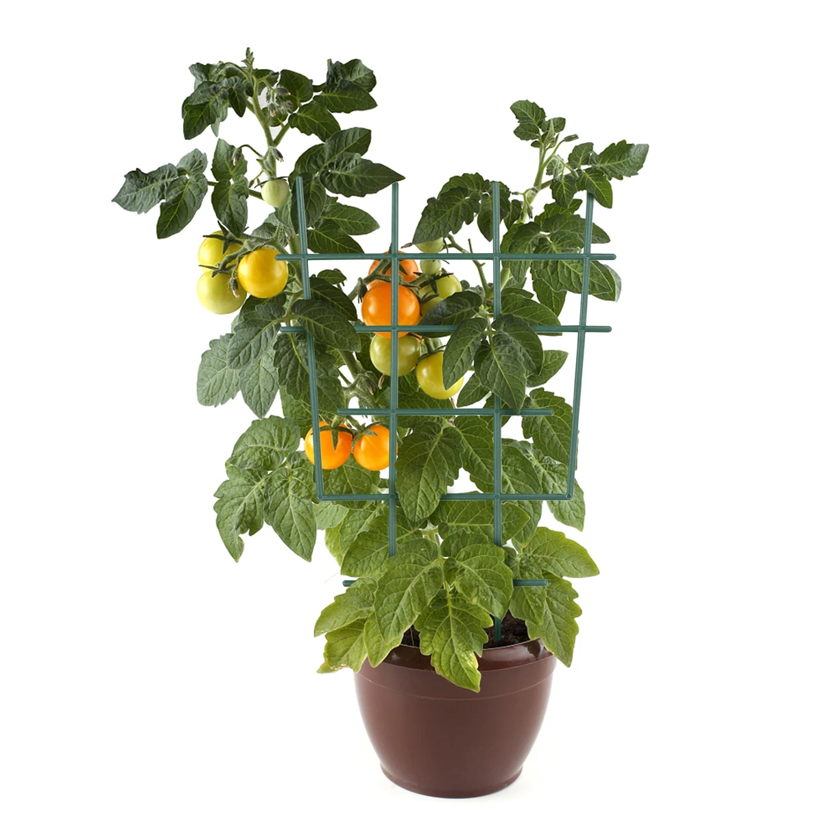 

5 pcs Plant Support Frame Garden Trellis Houseplant Plants Raised Bed Net Pea Lattice Durable Plastic Coating Antirust Vertical