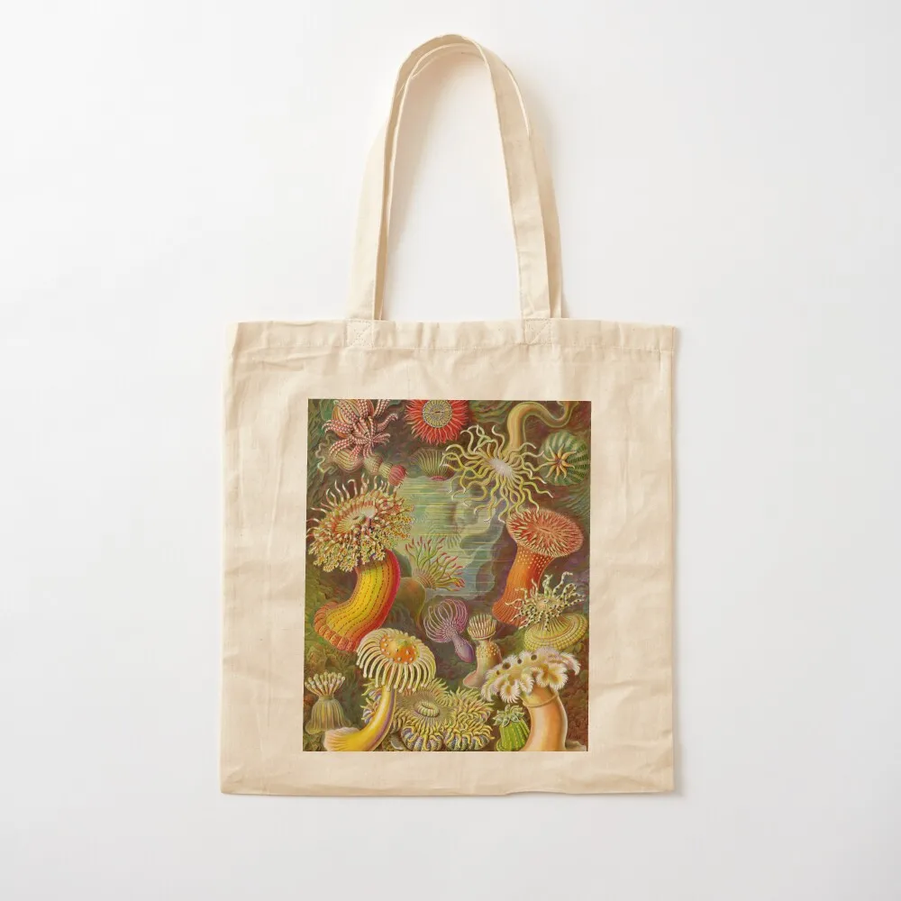 

Морской анемон - Ernst Haeckel Tote Bag sac pour femme отличная сумка-тоут сумка university Большая женская холщовая сумка