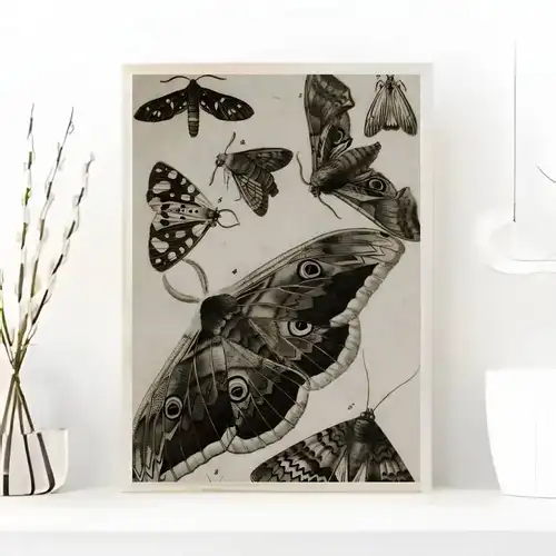 Black White Dark Butterfly Moth Poster art painting sticker with prints Home bedroom living room decoration gift - Image 10