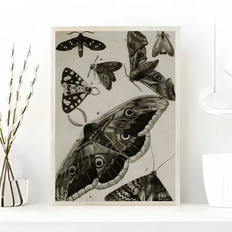 Black White Dark Butterfly Moth Poster art painting sticker with prints Home bedroom living room decoration gift - Image 10