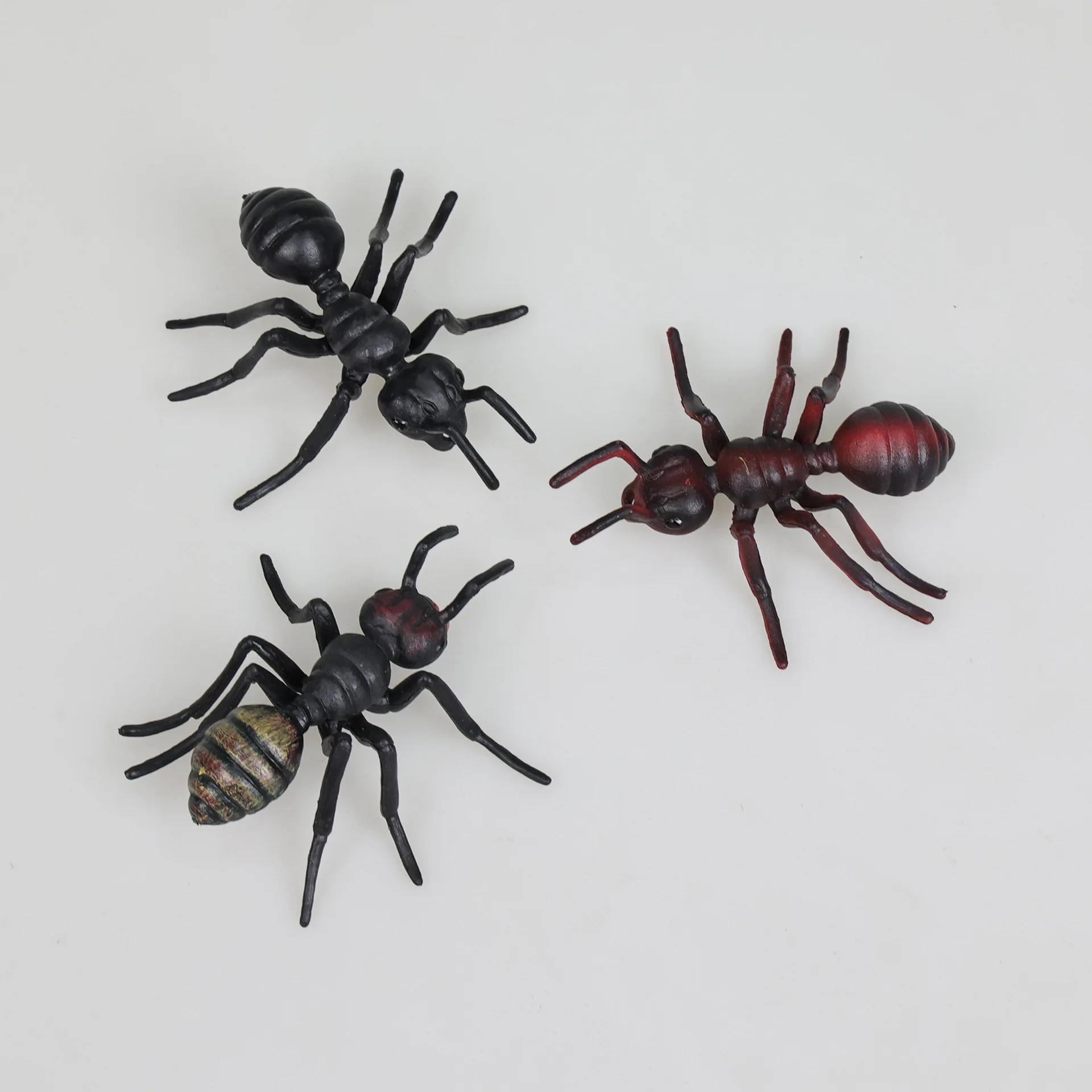 Simulation Ant Model Toy Children Early Learning Cognitive Solid Insect Toy Ornament Plastic Insects Toys Games Desk Decorations