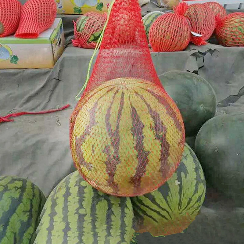 100 stücke hängende Wassermelone wachsen Netz beutel wieder verwendbare Cantaloupes Mesh Netz Garten gurken wachsen Lagerung Mesh Netz Gemüse taschen