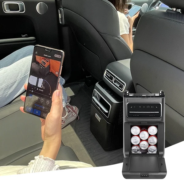 

Factory Price Lixiang Parts Special Modified Car Console Fridge 12v Freezer 5.5L Refrigerator for Suv Ev