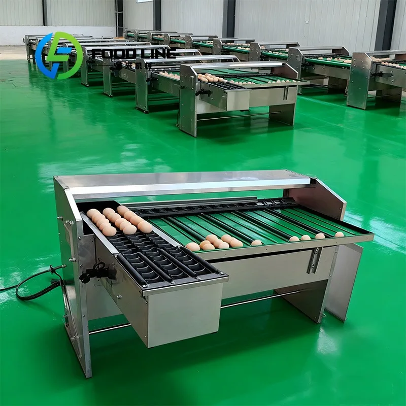 Automatic Egg Grader Soft Plastic Rollers Functions As Egg Sorting Machine Preventing Hard Friction Scratches On Delicate Egg
