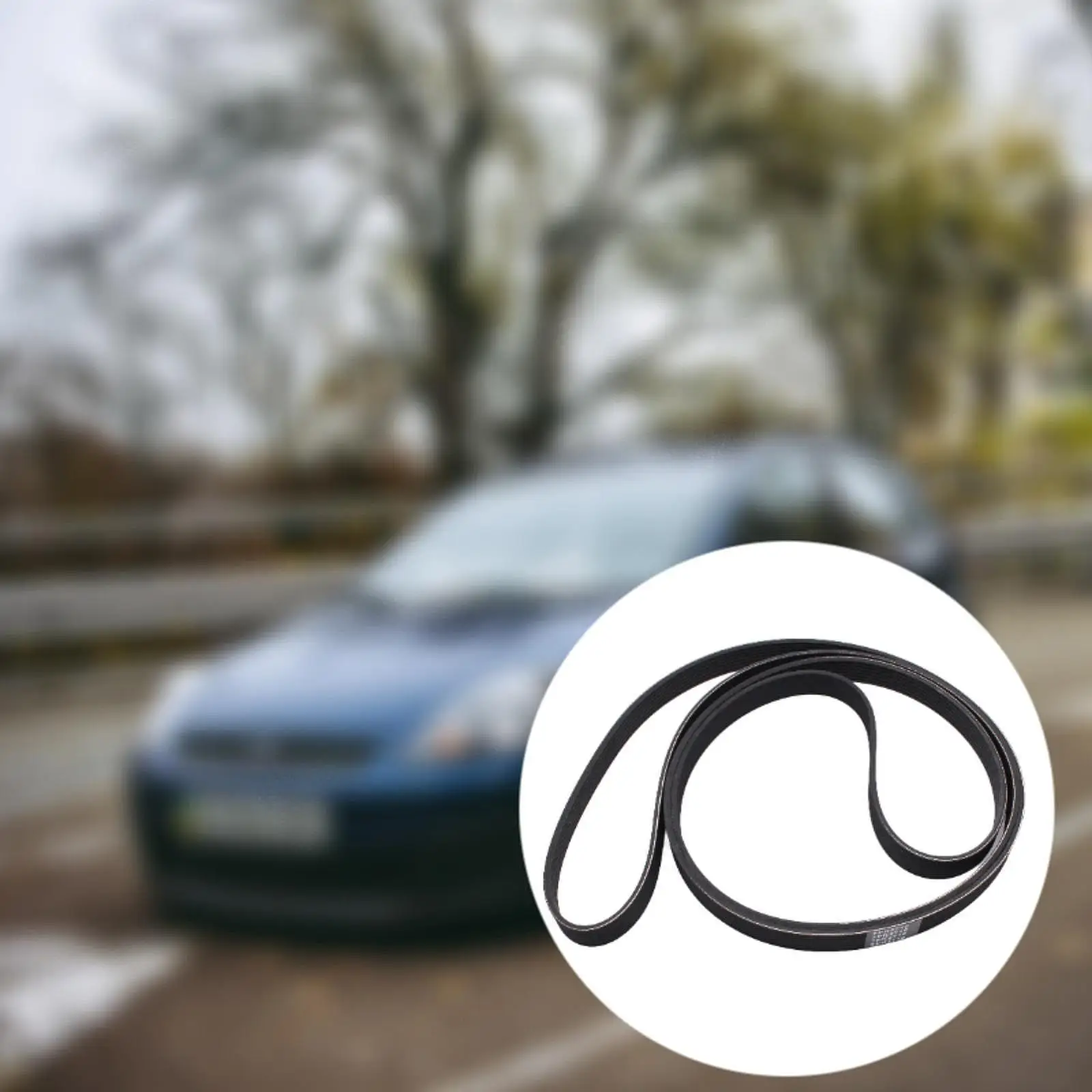 

Fan Drive Belt Auto Accessory Replace 1129181 for Ford Transit MK6 2000-2006