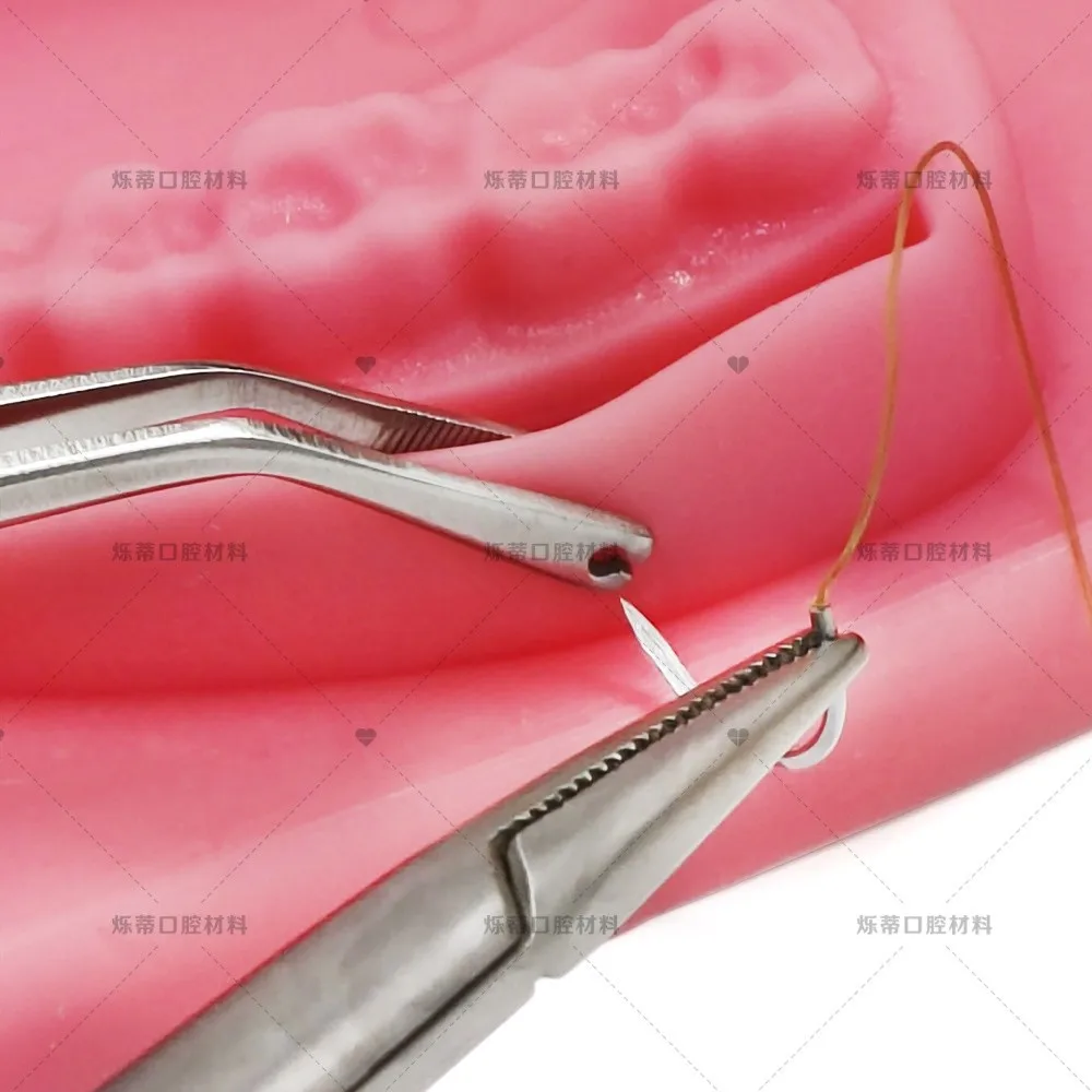 Laboratory Tweezers Stainless Steel Perforated Suture Tools Clamping Tissue Tweezers Laboratory Tools