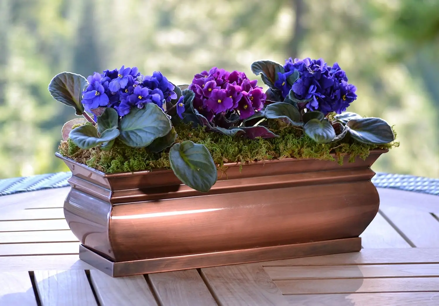 Herb Planter Pots Succulent Window Box Rectangular Indoor Outdoor Flower Garden Planters Dimensions 16 x 6 x 5.75 Inches (2)