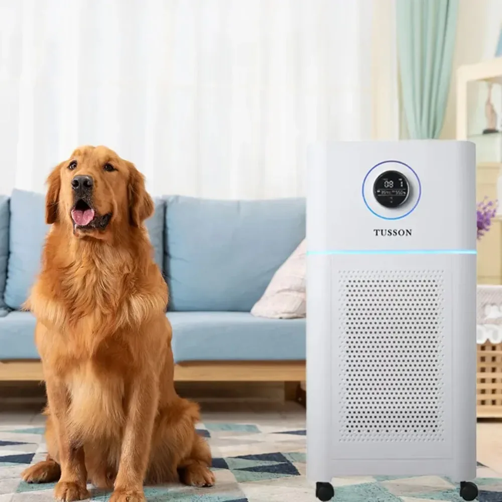 

OEM индивидуальный логотип бесшумный анионный фильтр HePA очиститель воздуха