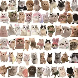 60Pcs/Bag Cat Stickers Graffiti Hand Account Stickers Cute Bizarre Helmets Skateboarding Luggage Decoration Stationery Stickers