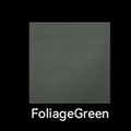 FG TYPE 1
