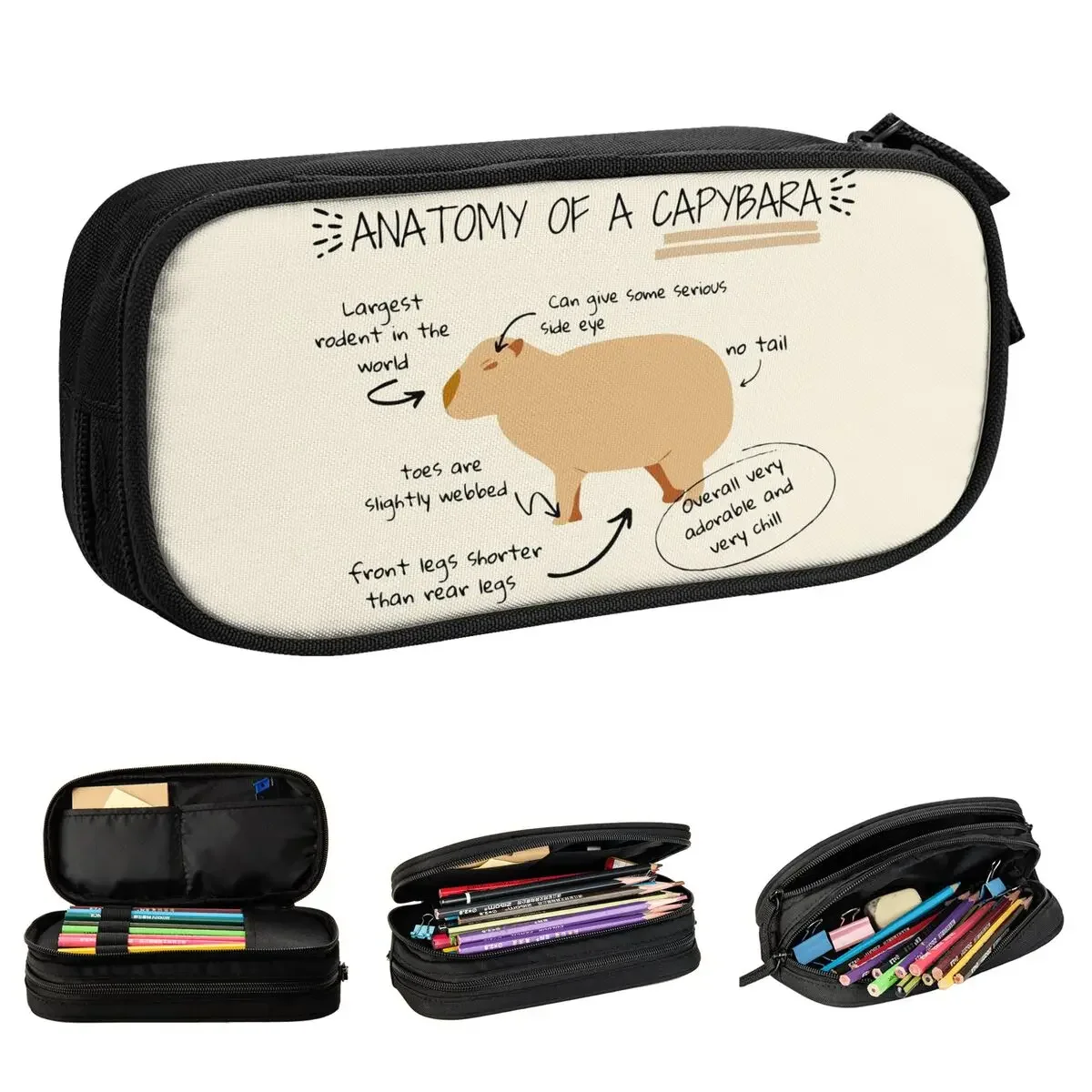 Anatomy Of A Capybara Pencil Case Pencilcases Pen Box Kids Big Capacity Bag Students School Gift Stationery