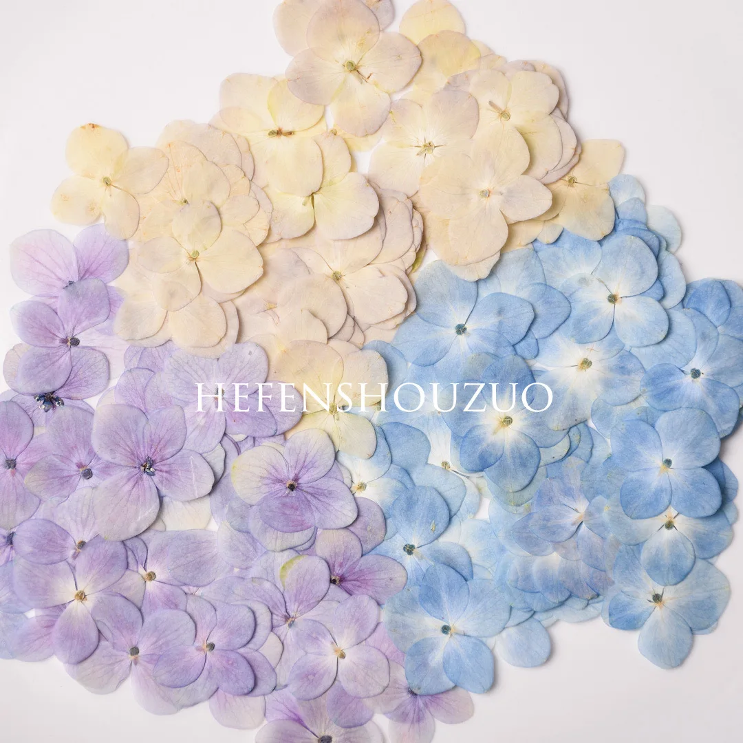 Original color hydrangea real flower special offer Hydrangea dried flower two-color resin DIY material