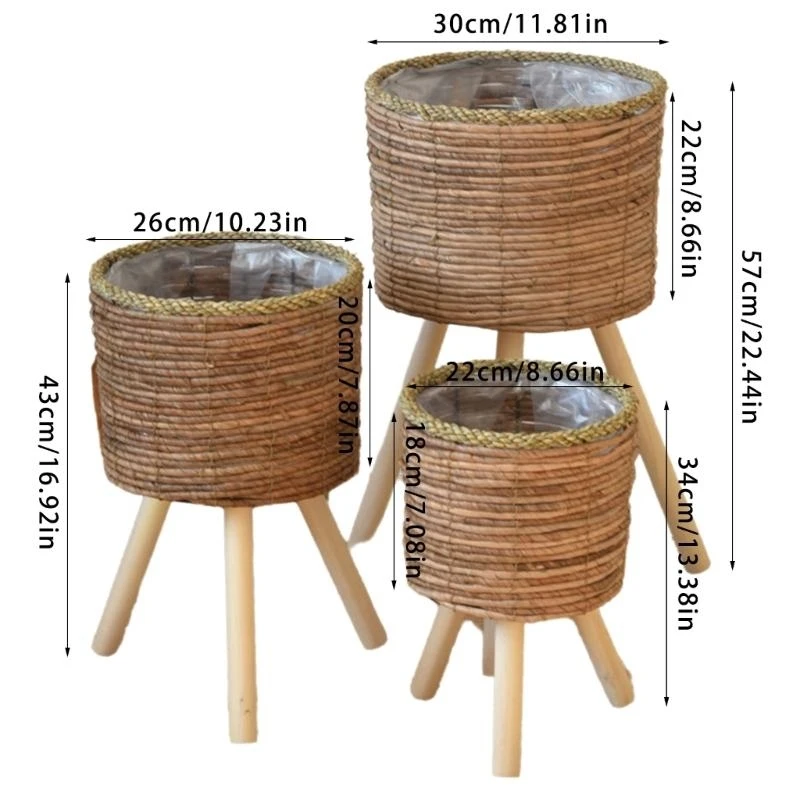 Рутанное растение ротанга