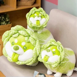 Cute Vegetable Fairy Plush Toy Japanese Cabbage Dog Fluffy Stuffed Animals Dog Soft Doll Shiba Inu Pillow Baby Kids Toys Gift