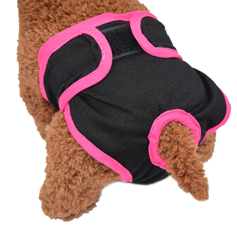 Pet Dog Physiological Pants Sanitary Diaper Washable Menstruation Underwear for Walking Dog Anti Harassment Dogs Shorts