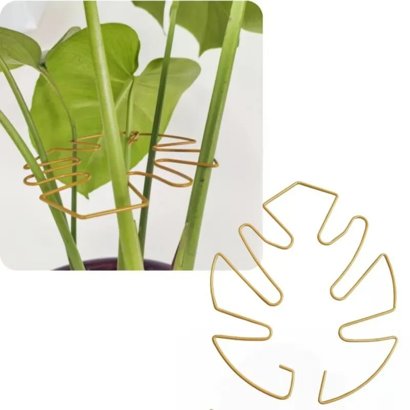 Suporte de haste de planta, suporte de planta em vaso interno, flores, fixador anti-dobrindo, protetor de haste de planta, acessórios de jardinagem