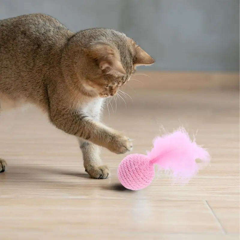 Cat Feather Toy Kitten Training Toy Bite Resistant Cat Toy Feather Ball Cat Toys With Feathers For Cats Pets