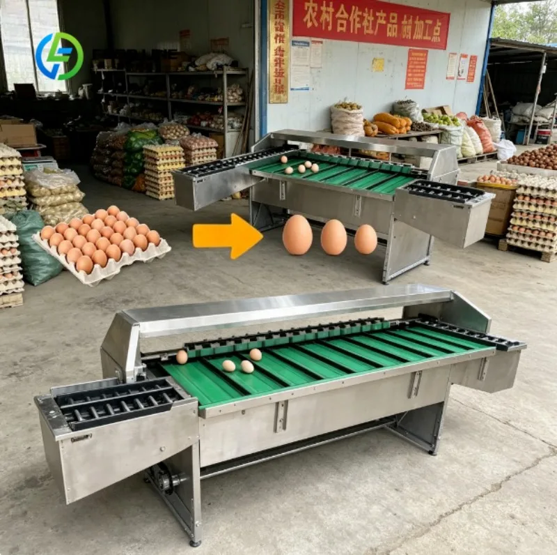 Automatic Egg Grading Equipment High Speed Egg Sorting Machine for Poultry and Egg Processing Plants