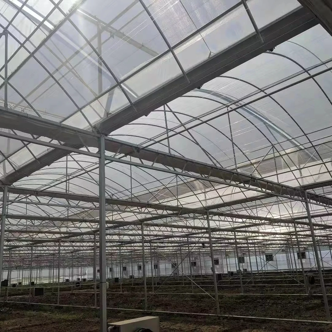

Customized greenhouseIntelligent Multi-span Plastic Film Greenhouse with Steel Structure & Hydroponic Vertical Farming Support