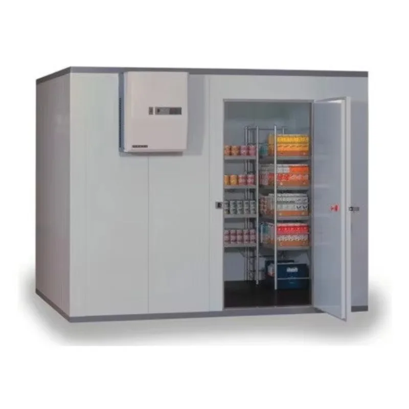 Customized Freezing Easy Disassembly Cold Room and Freezers Freezing Room Cool Room Refrigeration