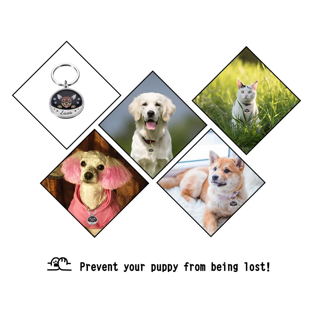 Custom Pet ID Tags Personalized Name Free Engraving Dog ID Collars For Puppy Small Big Dog Tag Labrador Pug Beagle Pomeranian