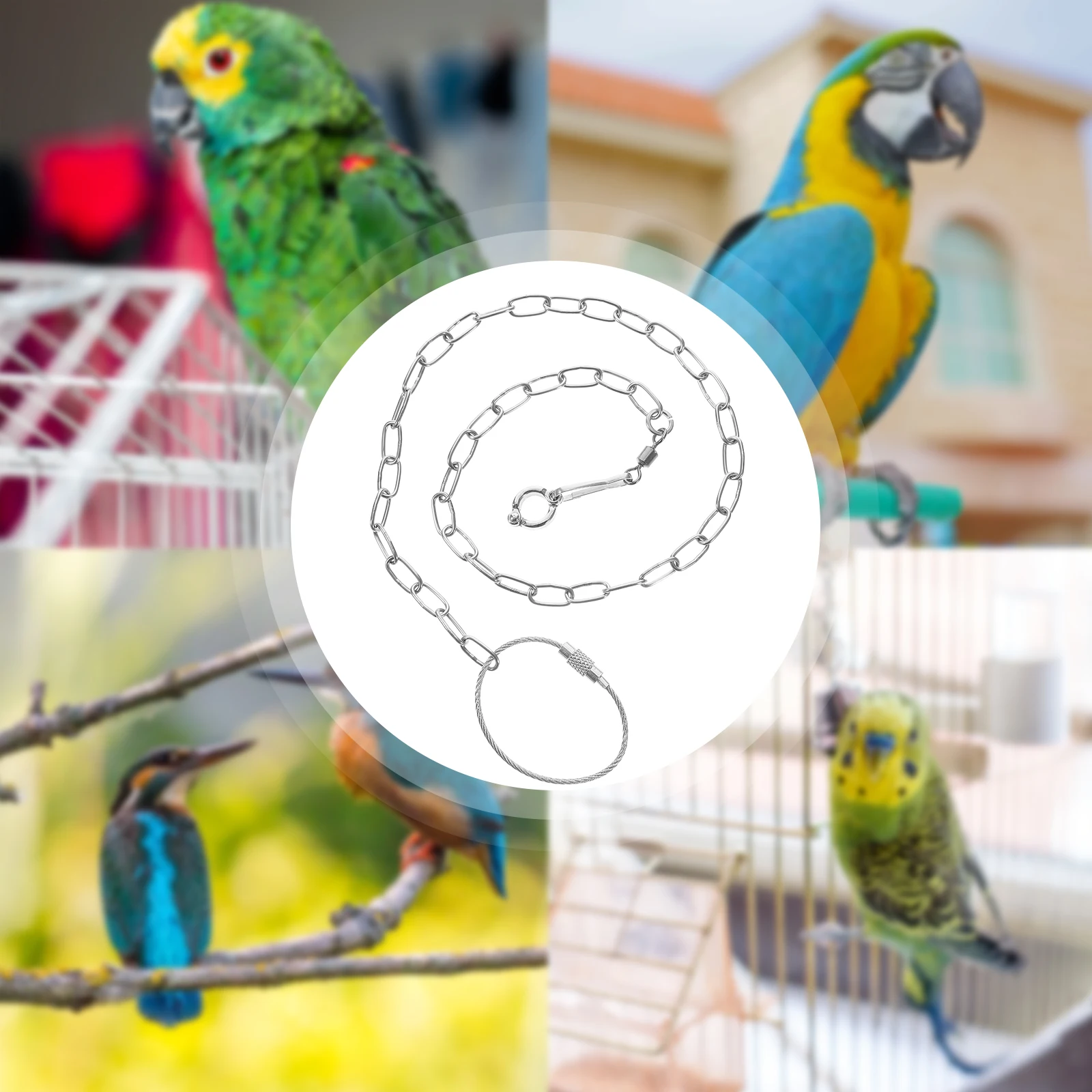 الفولاذ المقاوم للصدأ الطيور سلسلة القدم الببغاء ملحق الطيور كوكاتيل المقود حبل خلخال #2