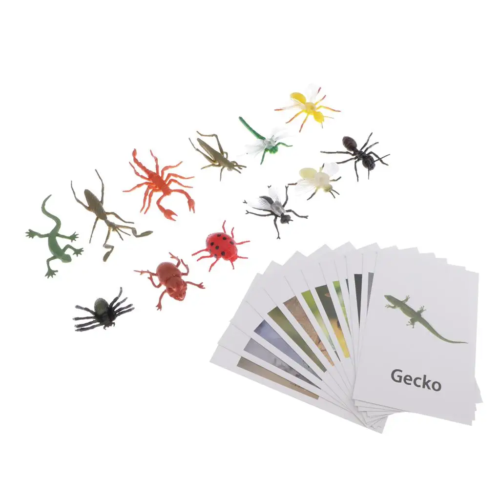 Montessori Insect Animal Match - Miniature Insects Figurines 12pcs with Matching Cards 12pcs - Montessori Learning Toy