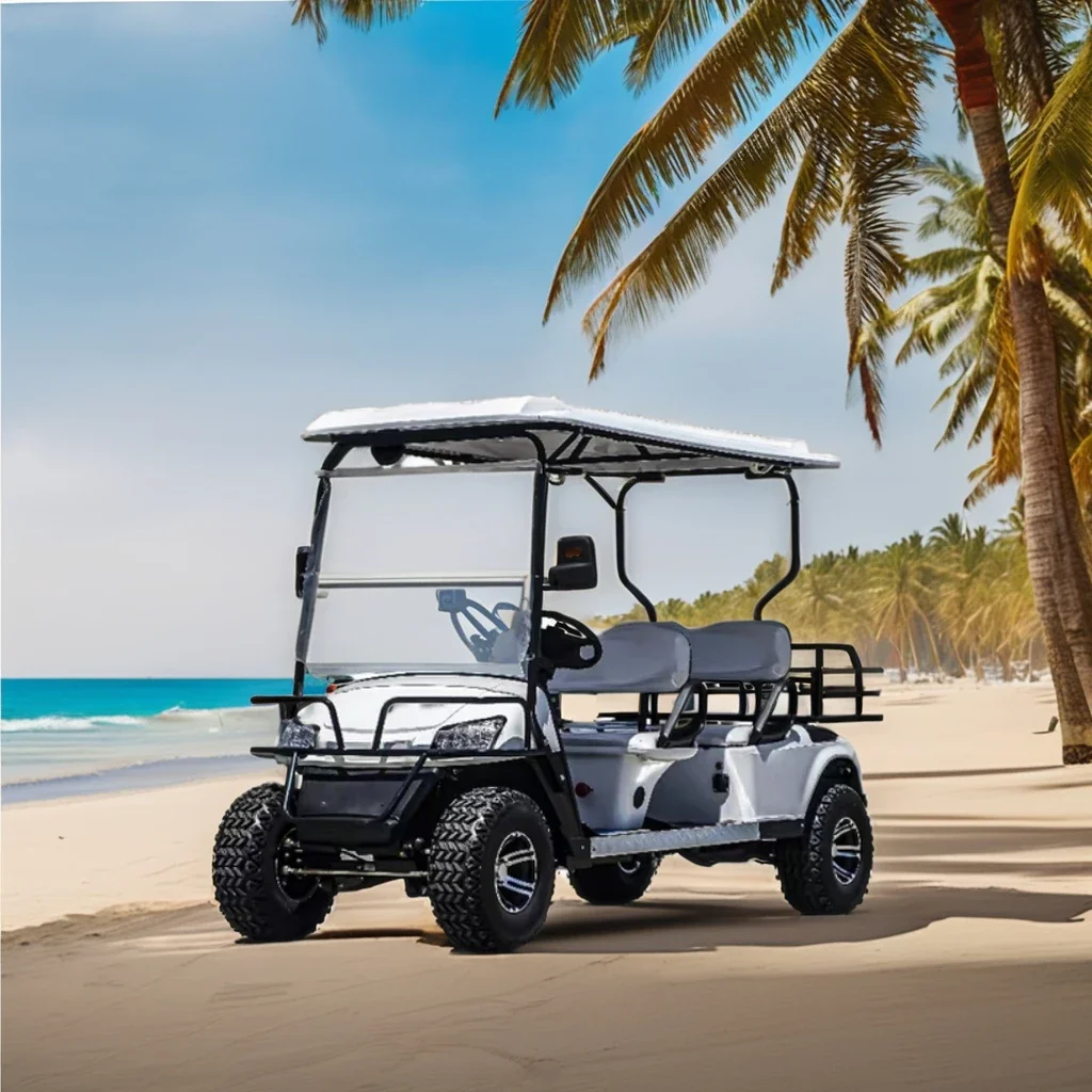 2024 Hot Selling Customized 48V/60V  2/4/6 Seats Side-by-Side Electric Golf Cart with Support for Custom Colors