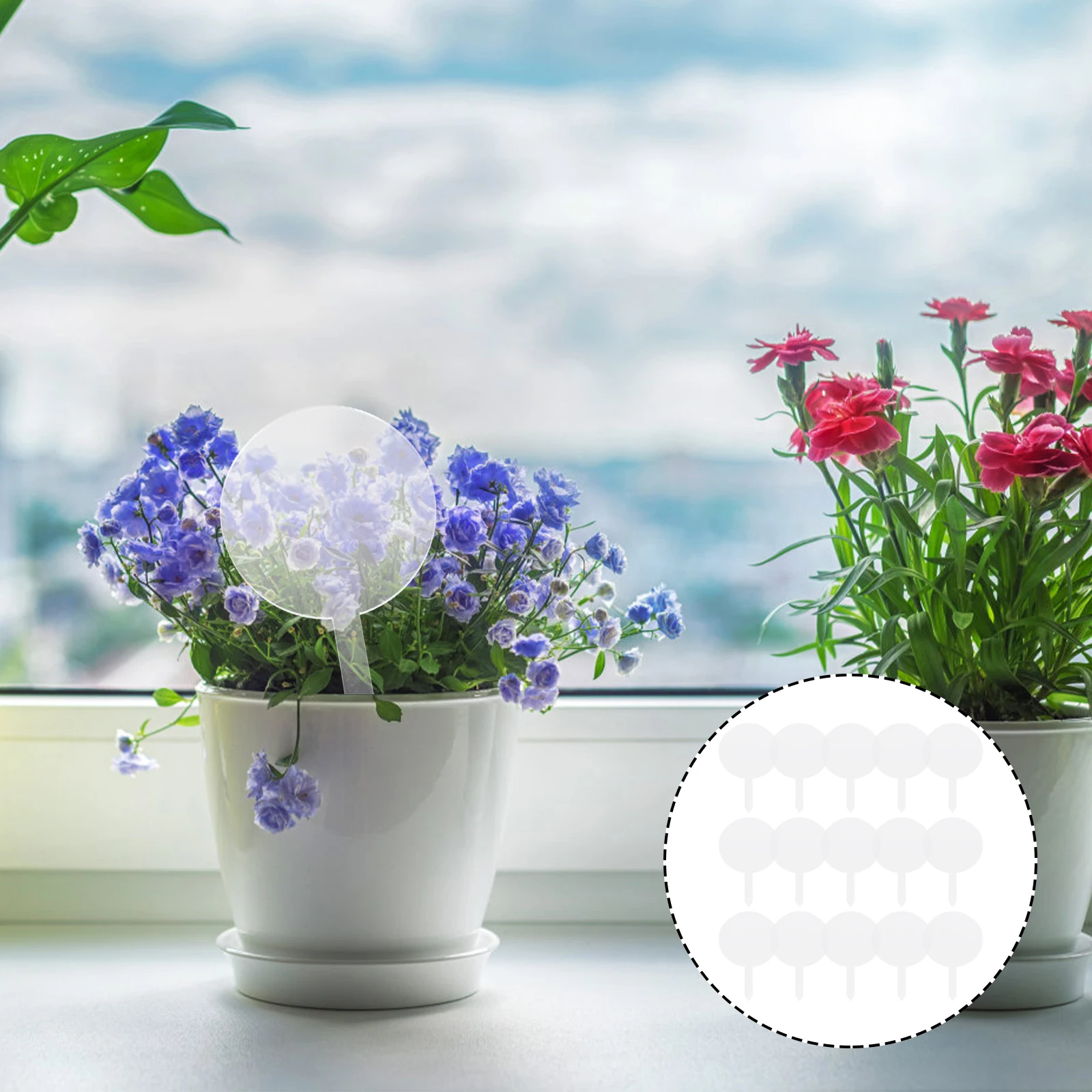 

15Pcs Garden Labels Acrylic Plant Markers for Vegetables Flowers Herb Identification Lawn Decor Plant Stakes Outdoor Nursery