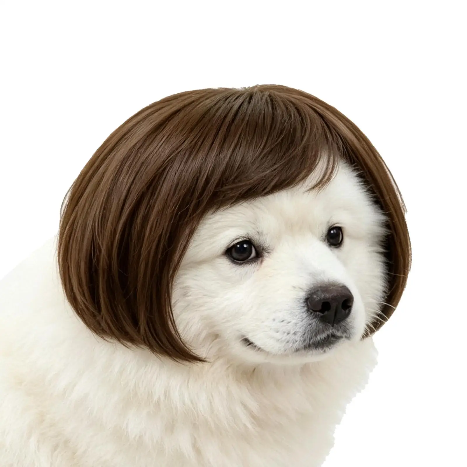 Haustierperücke, Hundeperücke, lustige Haustierperücke, Halloween-Haustierzubehör, lockiges Haar, glattes Haar, Katzenperücke, kann individuell gestaltet werden, Haustierbedarf. – Detail 3