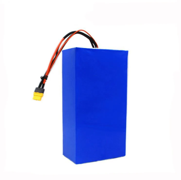 36V 48V 60V 10S 13S 16S lithium battery pack 20ah 30Ah with BMS Protection For Balance car Electric Bicycle Scooter tricycle