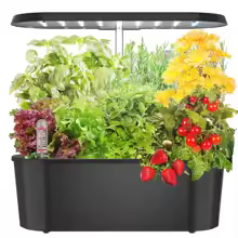 6-Pod Indoor Herb Garden