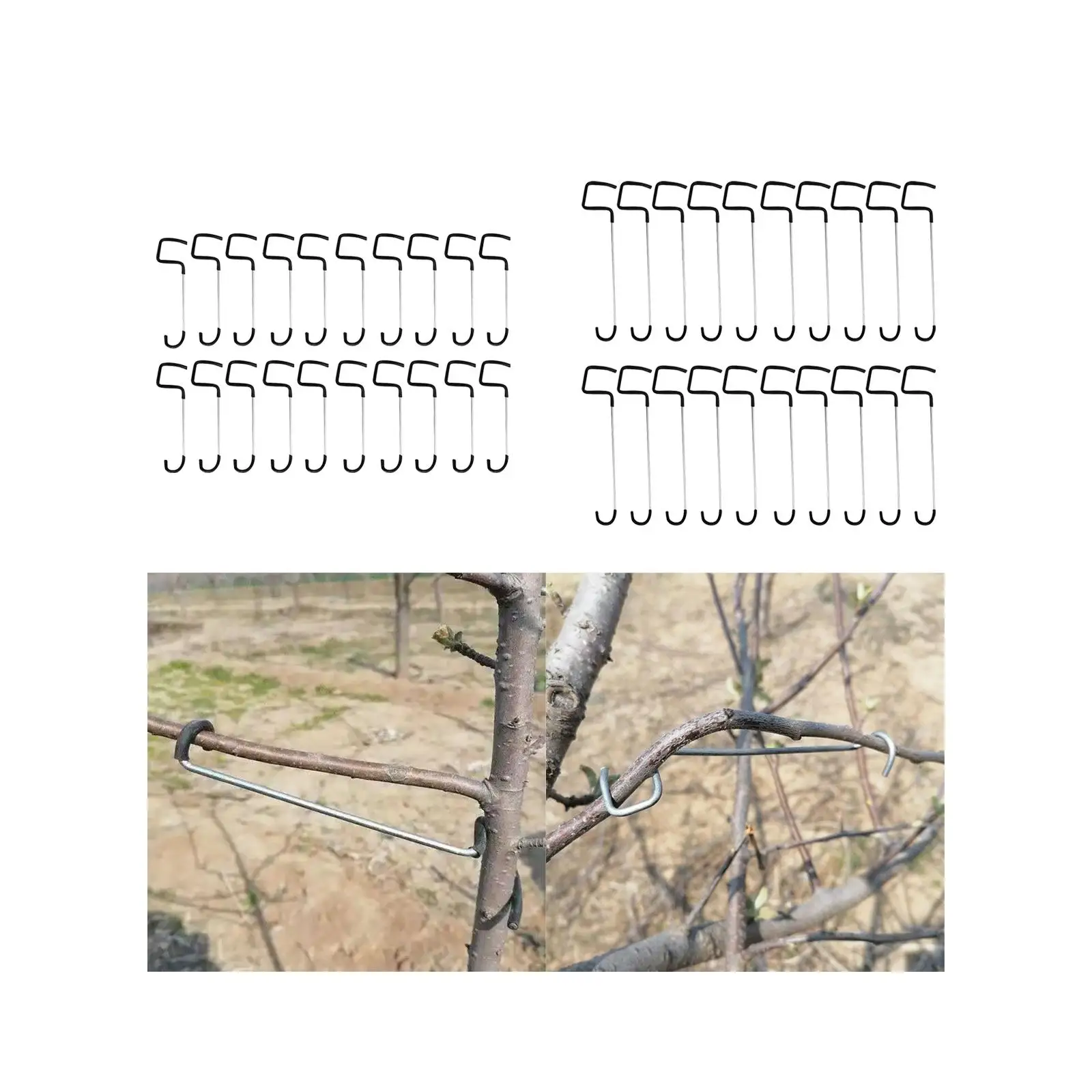 20x Fruit Tree Branch Limb Spreaders Gardening Shaping Tool Reusable Branch Trunk Spreaders for Orange Peach