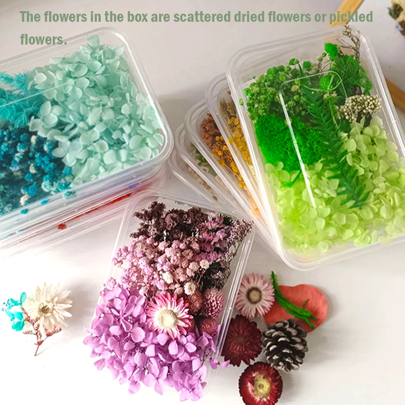 Natural Plant Dried Flower For Making Mobile Phone Case Aromatherapy Wax Slice Gift Box Epoxy Resin Jewelry Flower Accessories