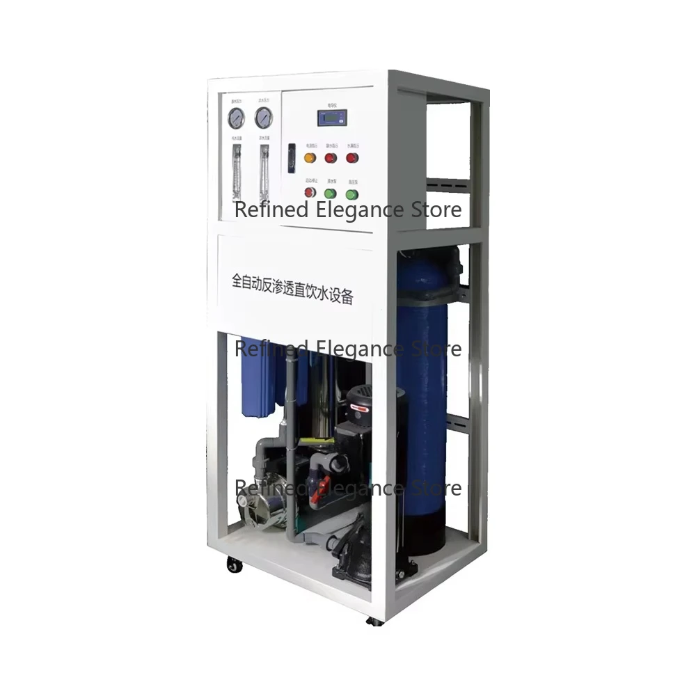 

Industrial Water Purification Machine 250LPH RO Filter for Pure Water Production