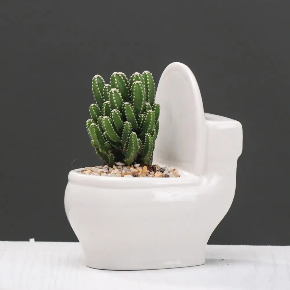 Ceramic Succulent Flowerpot Personality Cartoon Flower Vase Creative Hydroponic Flower Holder Birthday