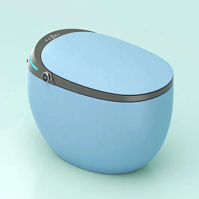 Smart Bidet Toilet Seat with AUTO Tankless Toilet with Remote Control Smart Lady Care Wash Nozzle Water Closet Toilet