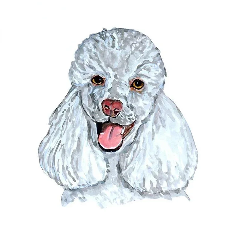 

White Poodle Dog Lover Home Office Room Camp Decor Decal Wall Art Gift Unique Car Sticker Vinyl Waterproof Kk10cm