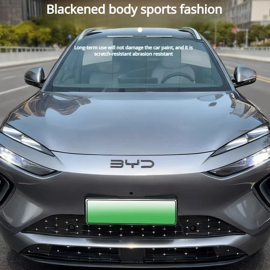 FOR BYD Han, Tang, Song, Qin, Yuan PLUS Seal and Dolphin logo resin protective Film Black Knight Modified Luminous Logo