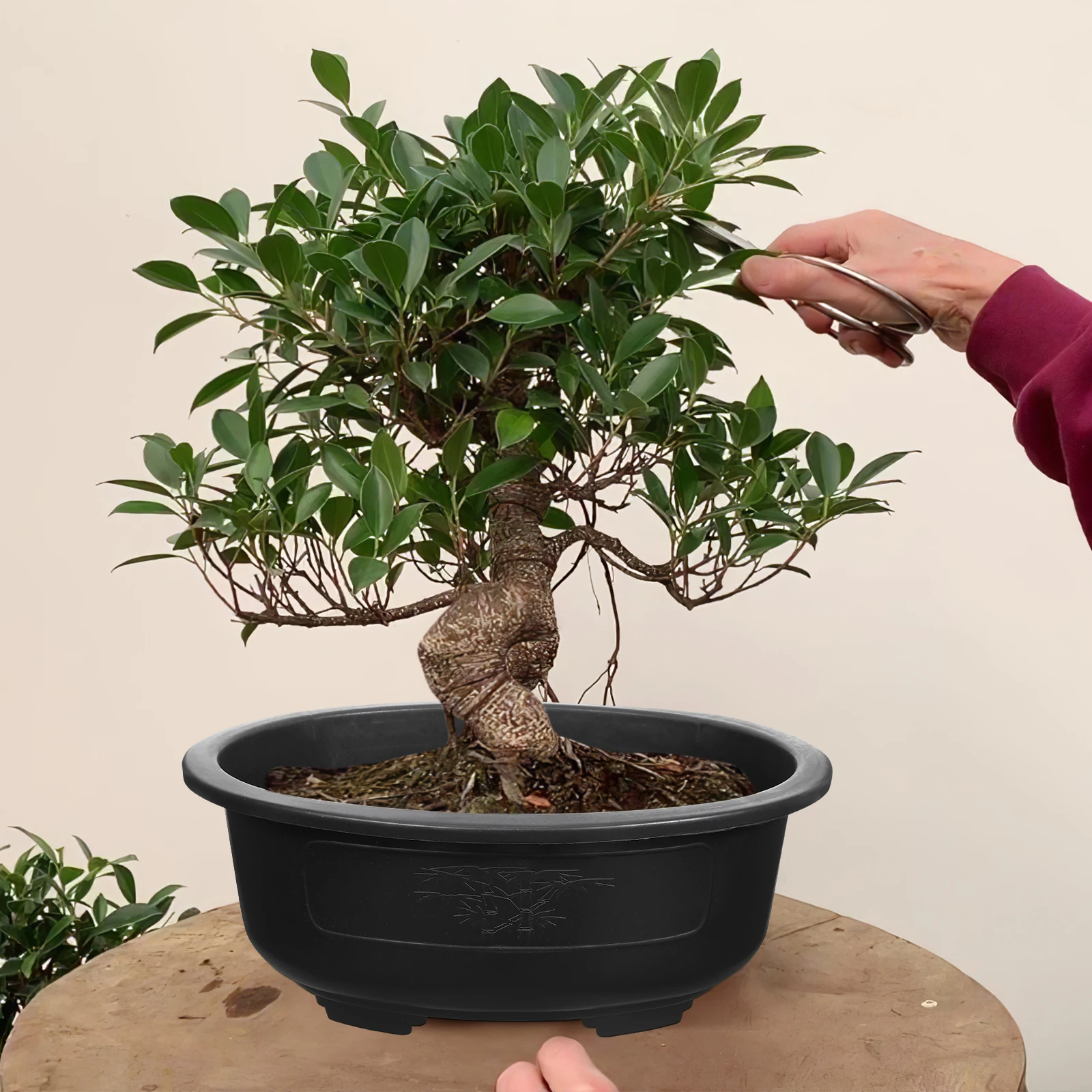 

2pcs Large Flowerpot Oval Plant Container With Drainage Holes Breathable Gardening Planter For Indoor Outdoor Bonsai Reusable