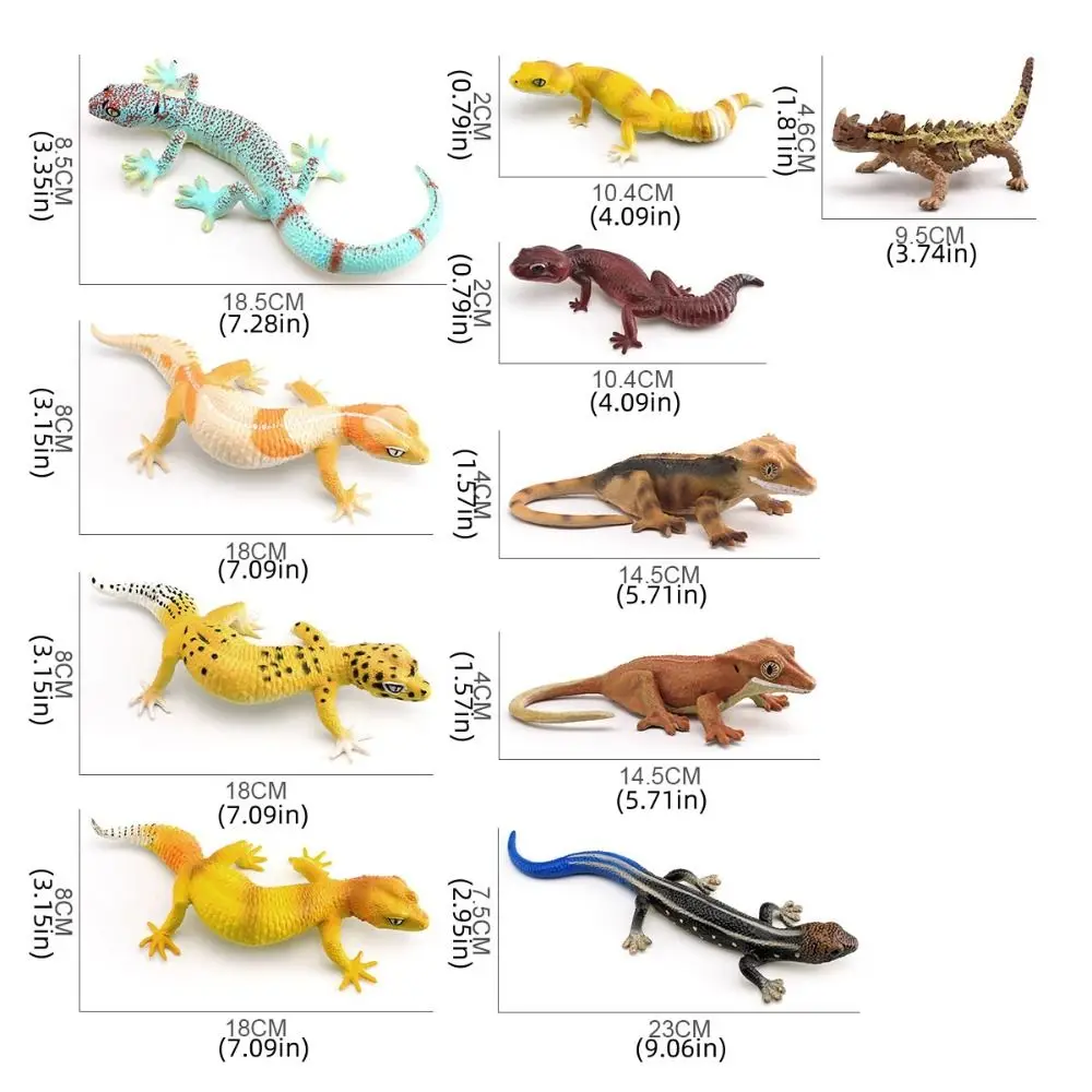 Simulatie Hagedis Model Beeldjes PVC Materiaal Educatief Reptiel Dieren Figuren Miniatuur Statische Gekko Figuur Kinderspeelgoed
