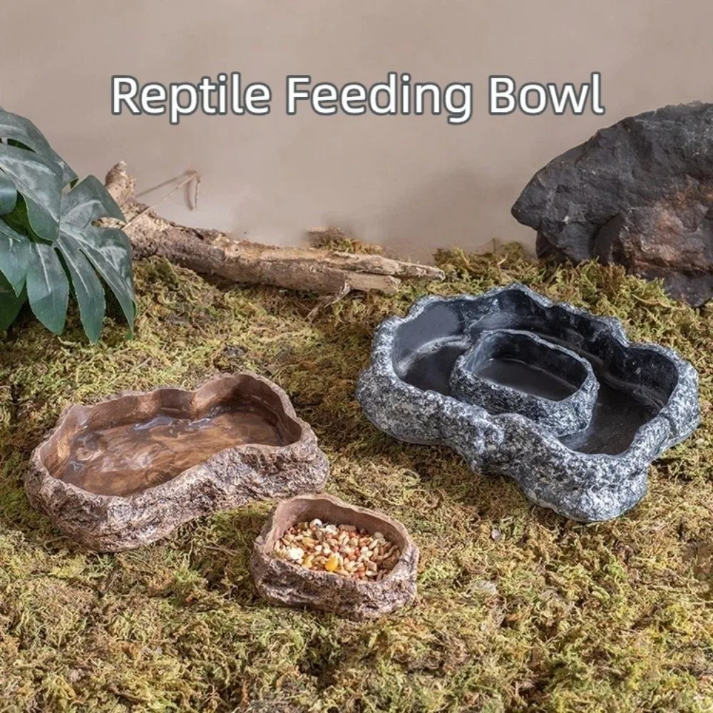 New Simulated Rock Reptile Food Bowl Multiple Size Anti-slip Base Lizard Food Dish Habitat Decor Pet Reptile Feeder Pet Supplies
