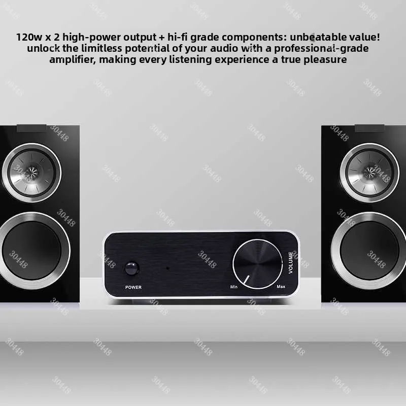 

PAD-10 High-Power Home Digital Amplifier HiFi Audiophile Desktop Small Pure Power Amplifier