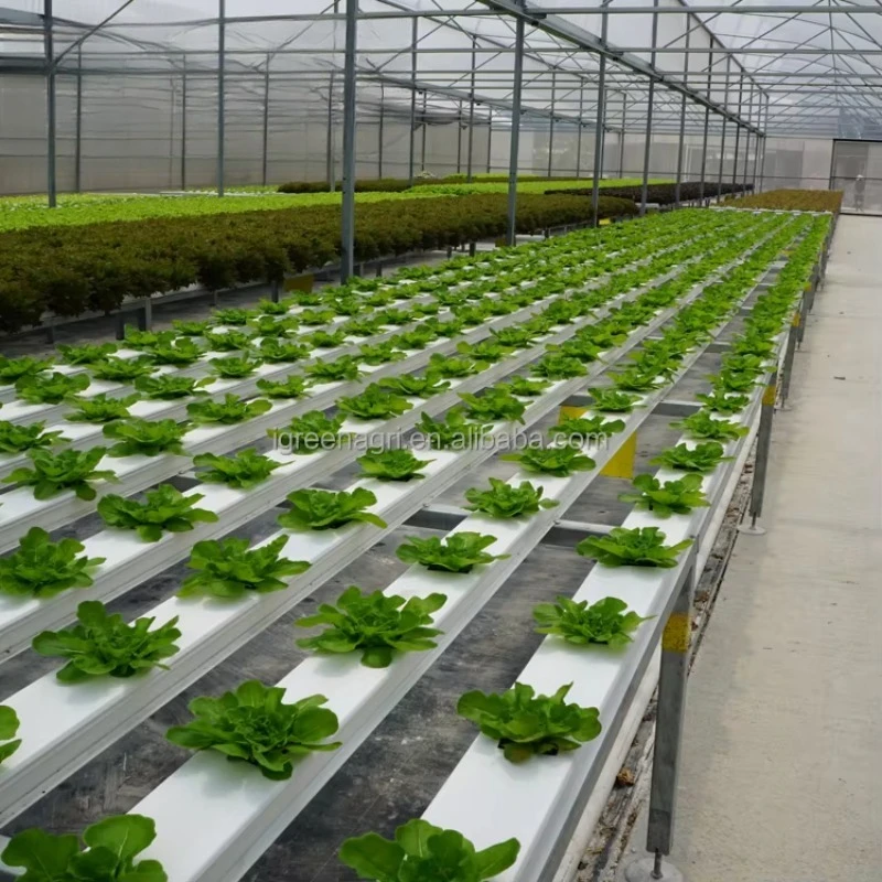 Sistema hidropónico NFT comercial