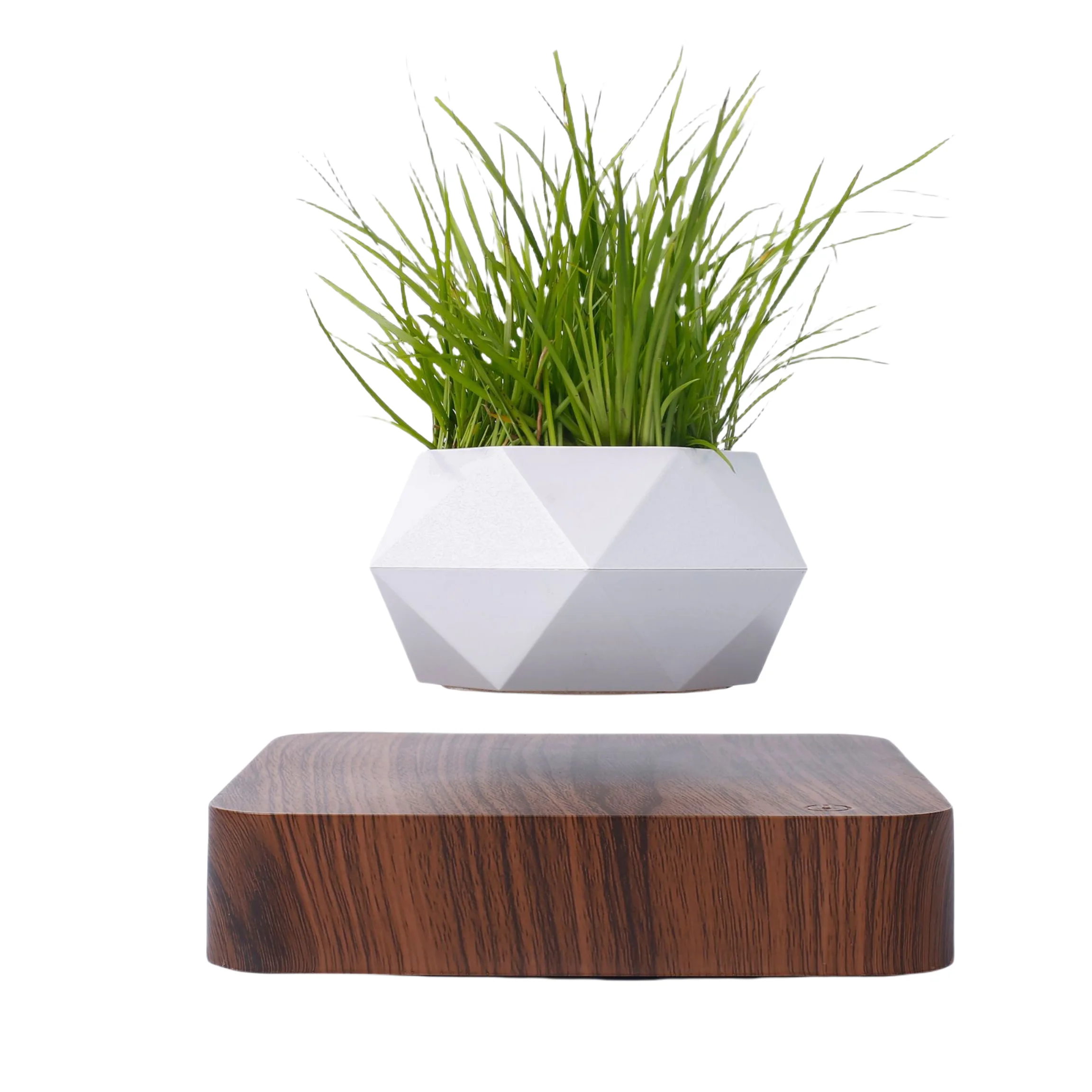 

Air Bonsai Floating Potted Plant Magnetic Levitating Flower Pot for Business Gifts