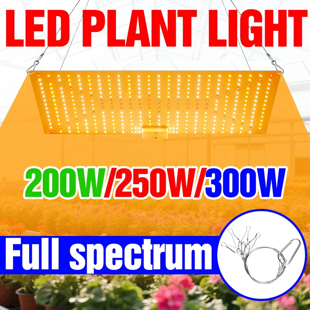 

300W LED Full Spectrum Grow Lamp Sunlight Quantum Board Plant Fill Light Greenhouse Tent Vegs Seeds Succulent Cultivation Lights