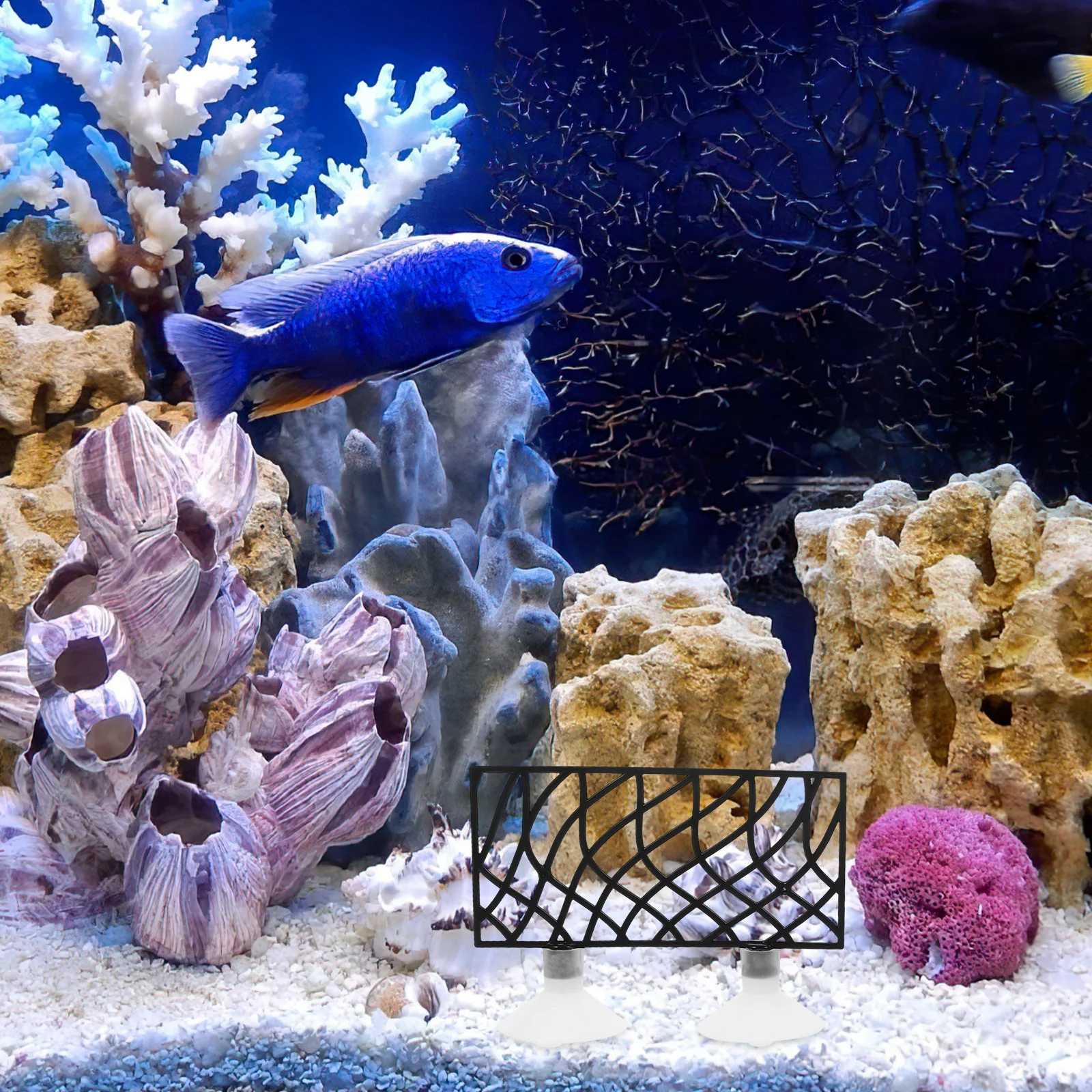 

1Set Fish Tank Cave Decor Unique Betta Fish Tunnel Resting Bed Aquarium Ornament Hollowed Tunnel Shrimp Hideaway