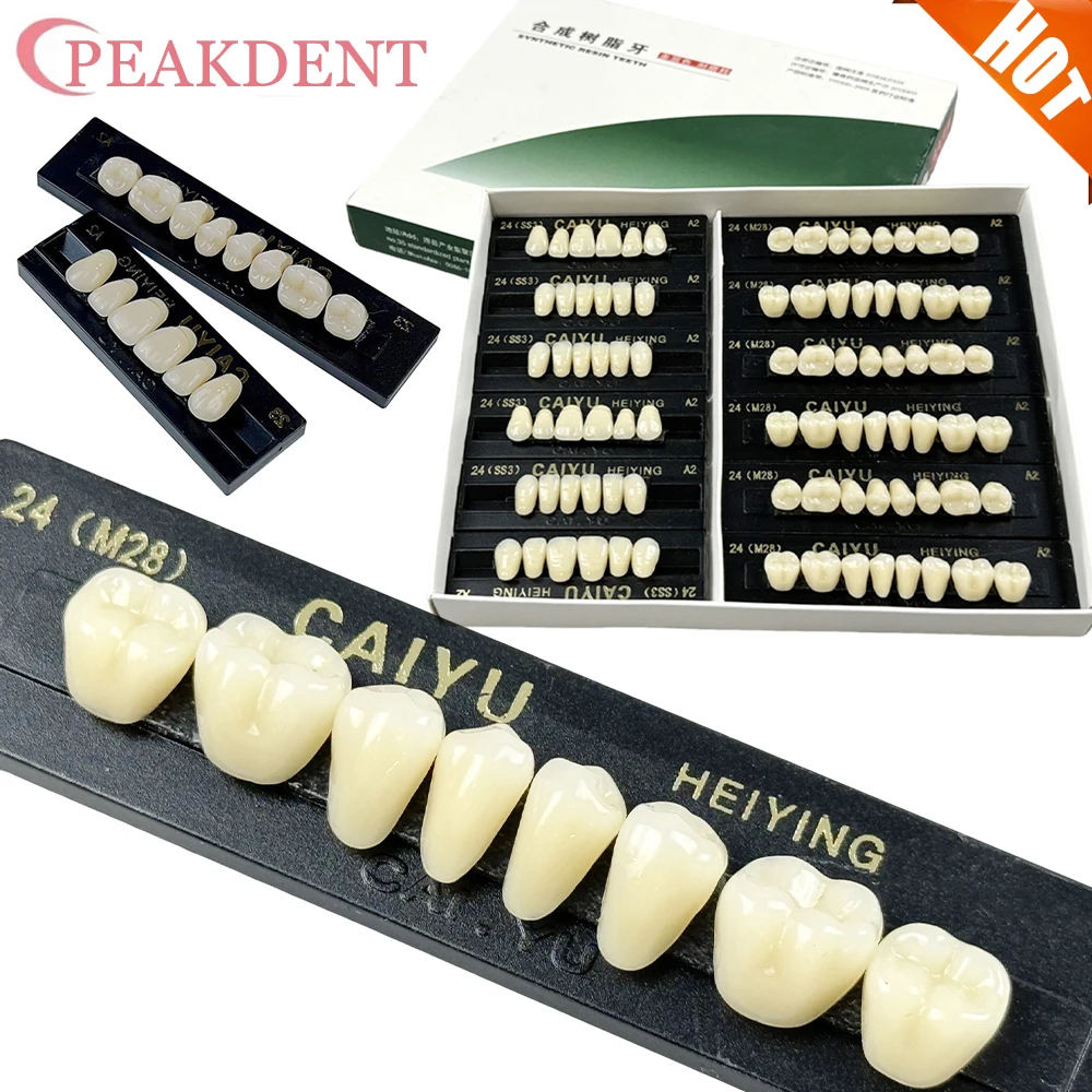 

Dental Resin Teeth Denture Teeth Guide Color Comparator Mirror A2 Color Dentistry Materials 22/23/24 Teeth Model White Bleaching